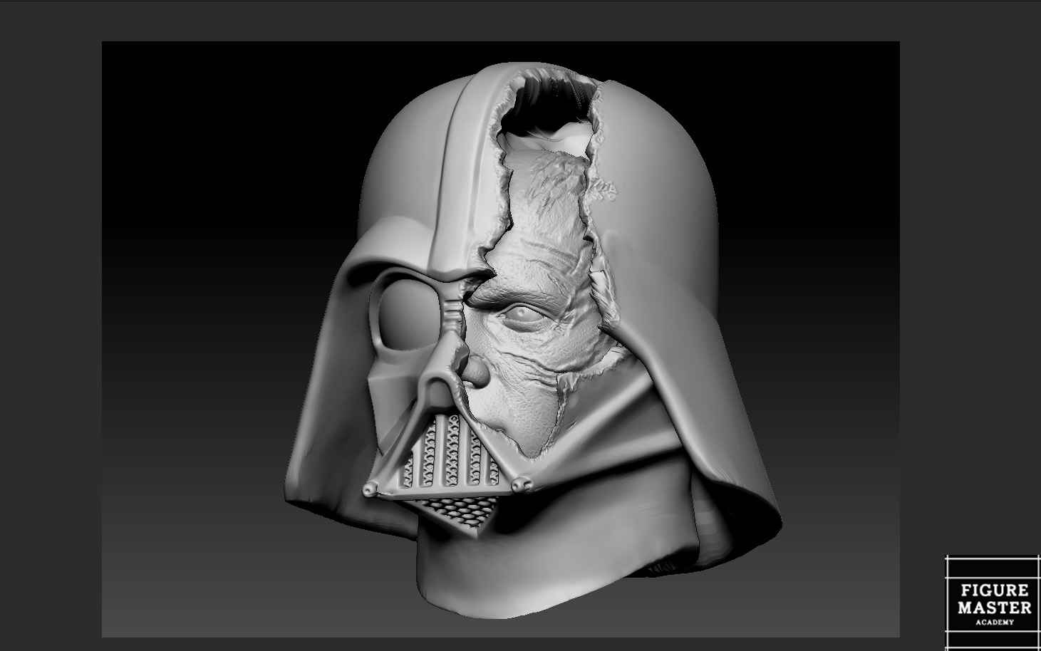 DARTH VADER ANAKIN CUSTOM HEAD FOR FIGURES STARWARS DISNEY OBIWAN 3D PRINT — image 1